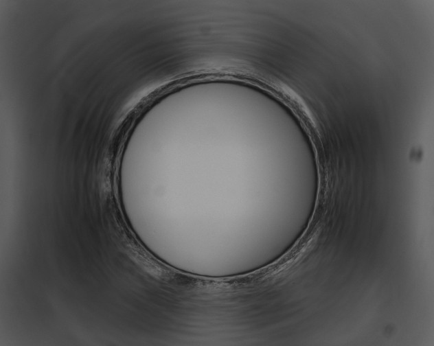 X0000095671019200801081034