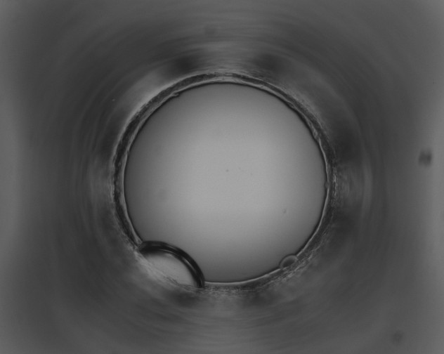 X0000095671020200801081034