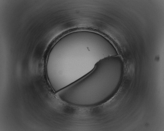 X0000095671021200801081034