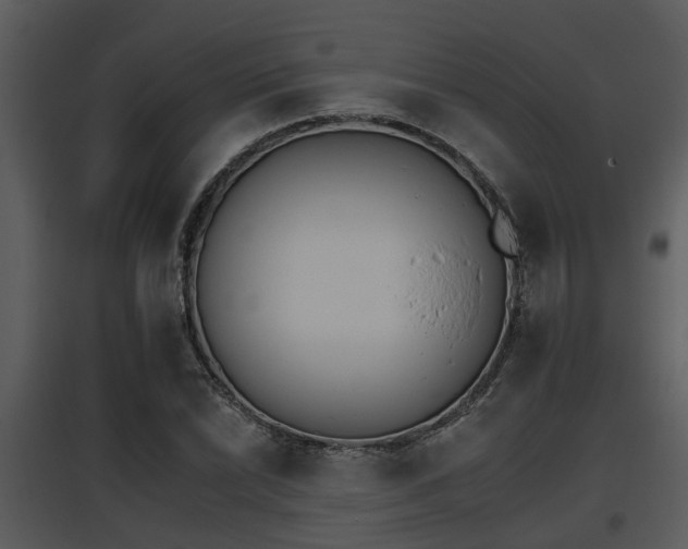 X0000095671022200801081034