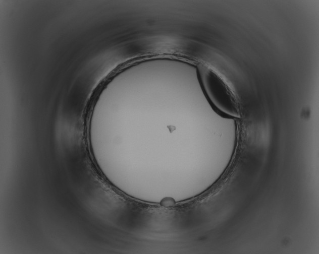 X0000095671023200801081034