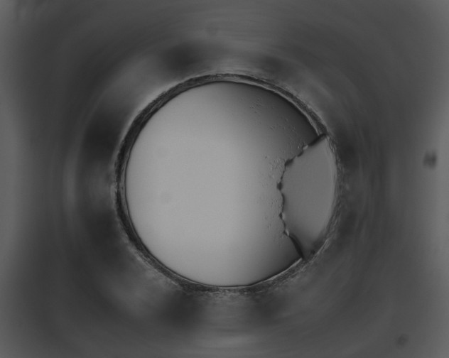 X0000095671024200801081034