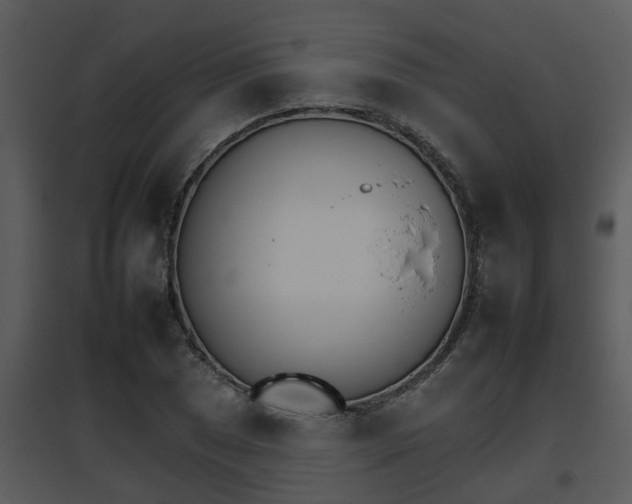 X0000095671025200801081034
