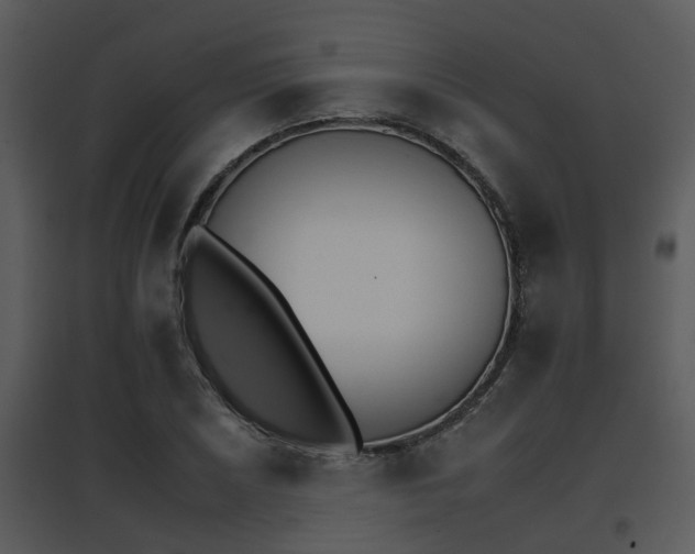 X0000095671026200801081034