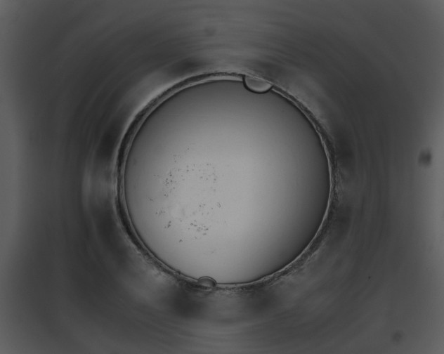 X0000095671028200801081034