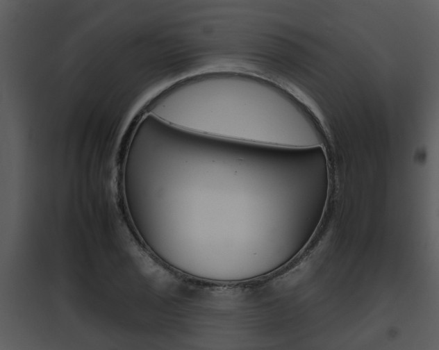 X0000095671029200801081034