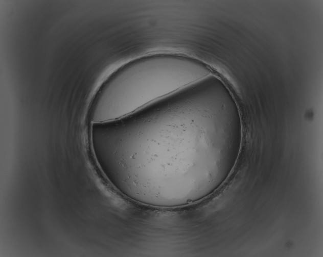 X0000095671030200801081034