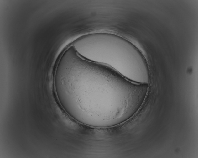 X0000095671032200801081034