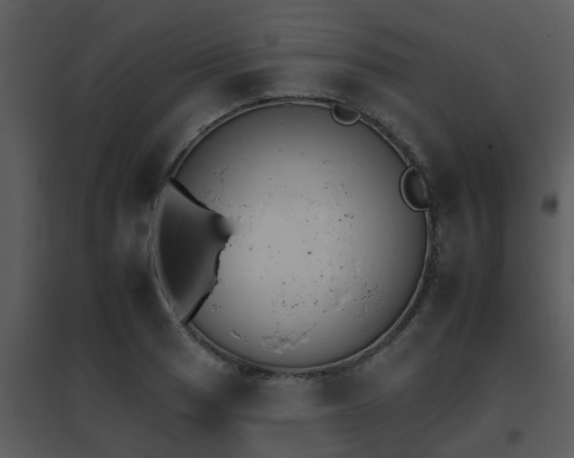 X0000095671033200801081034