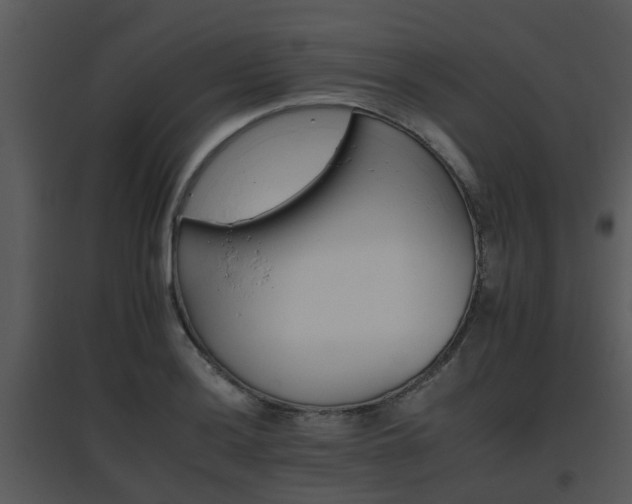 X0000095671036200801081034