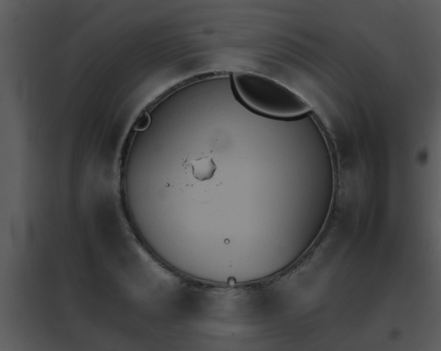 X0000095671037200801081034