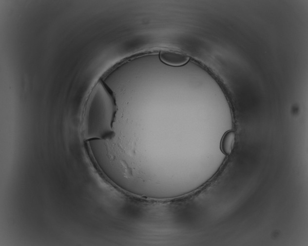 X0000095671038200801081034