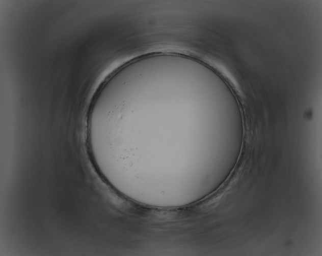 X0000095671040200801081034