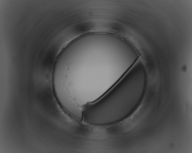 X0000095671041200801081034
