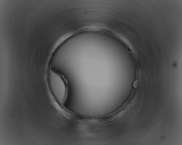 X0000095671042200801081034