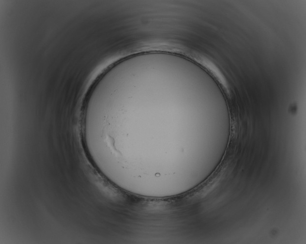 X0000095671043200801081034