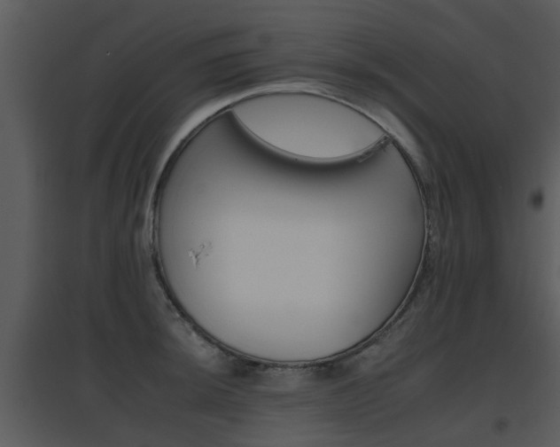 X0000095671044200801081034