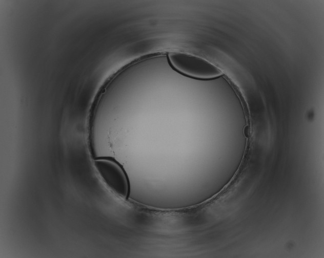 X0000095671045200801081034