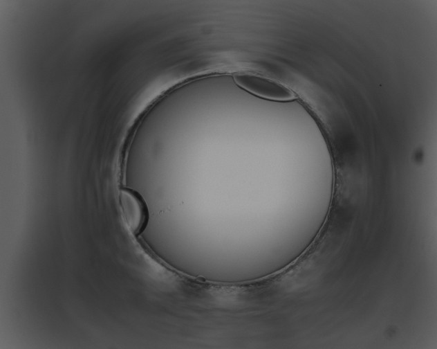 X0000095671046200801081035
