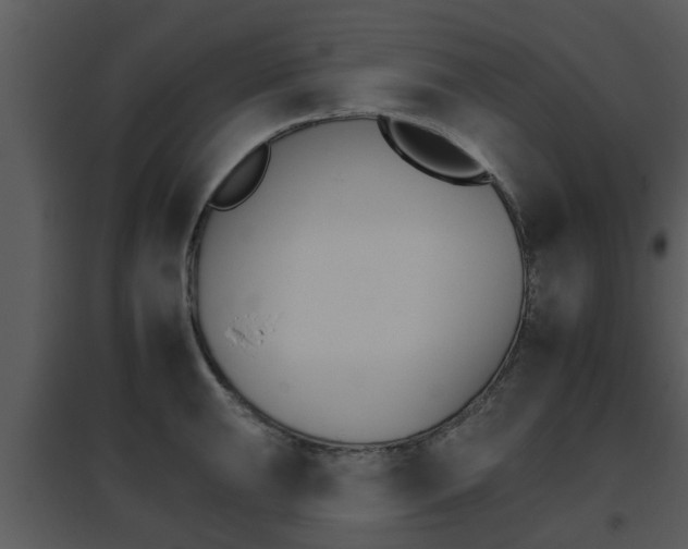 X0000095671047200801081035