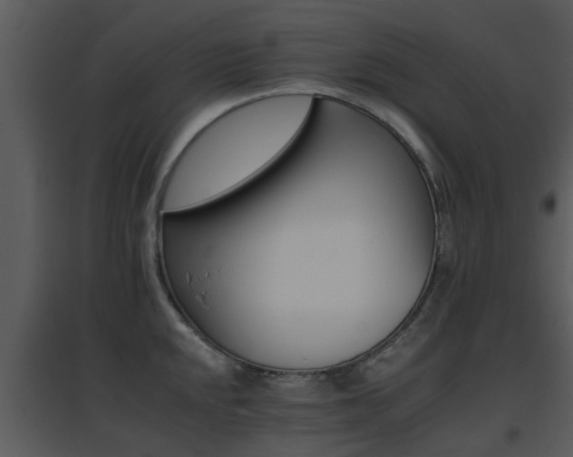 X0000095671048200801081035