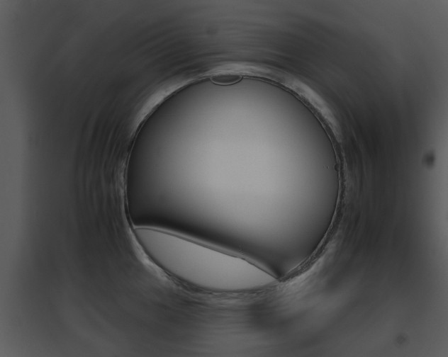 X0000095671049200801081035