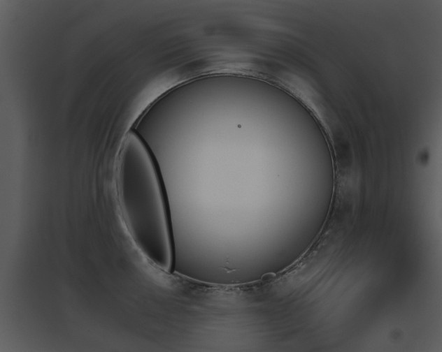 X0000095671050200801081035