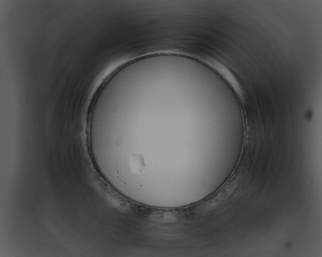 X0000095671051200801081035