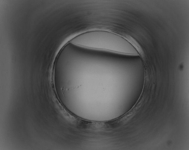 X0000095671052200801081035