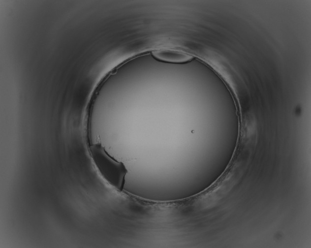 X0000095671053200801081035