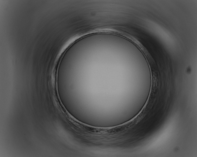 X0000095671054200801081035