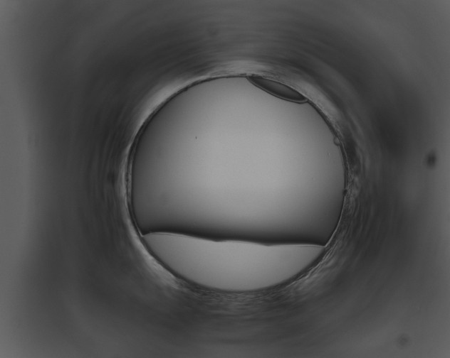 X0000095671055200801081035