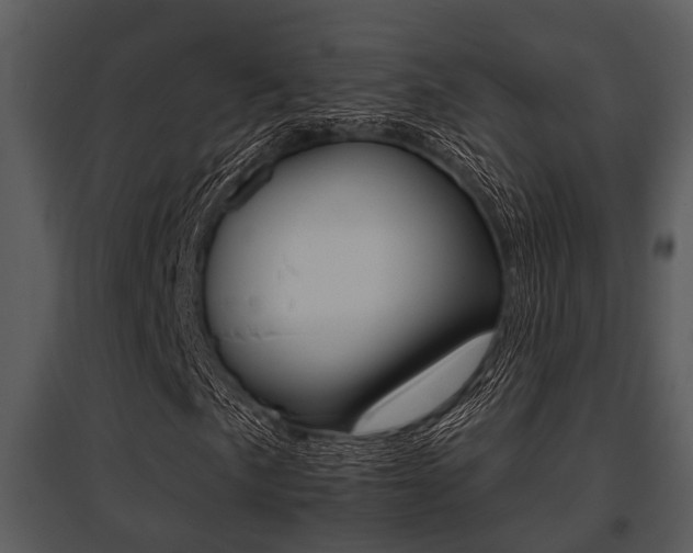 X0000095671057200801081034