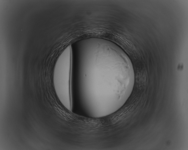 X0000095671058200801081034