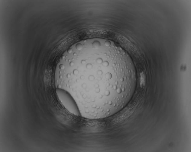 X0000095671059200801081034