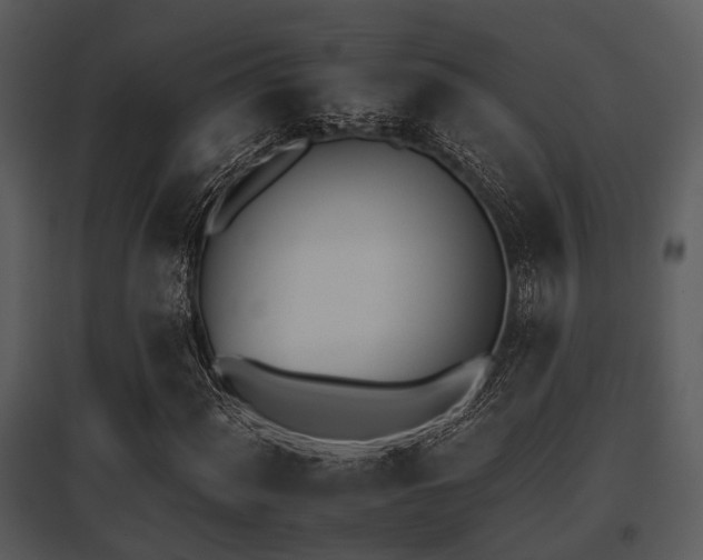 X0000095671060200801081034