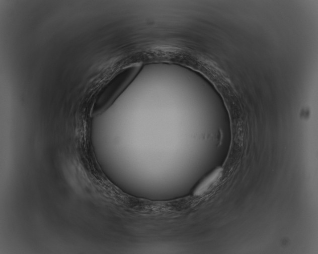 X0000095671061200801081034