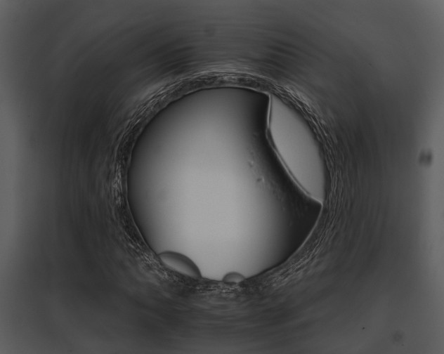 X0000095671062200801081034