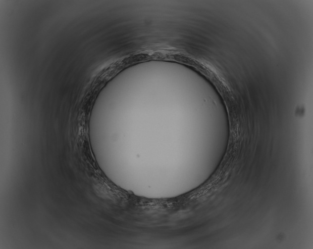 X0000095671063200801081034