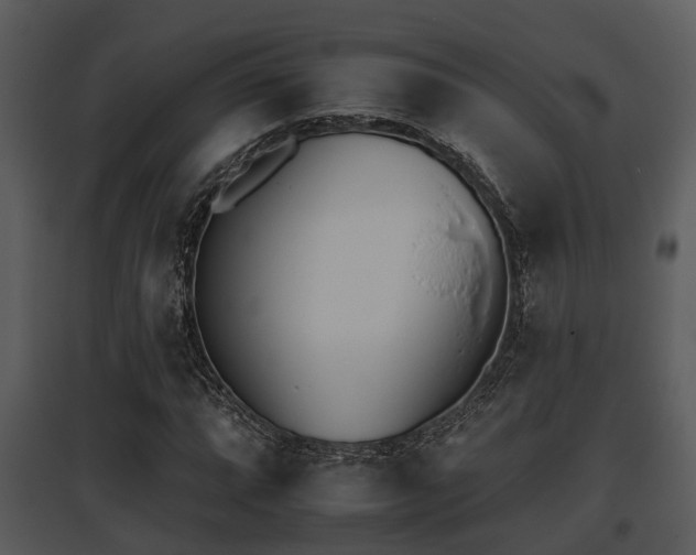 X0000095671064200801081034