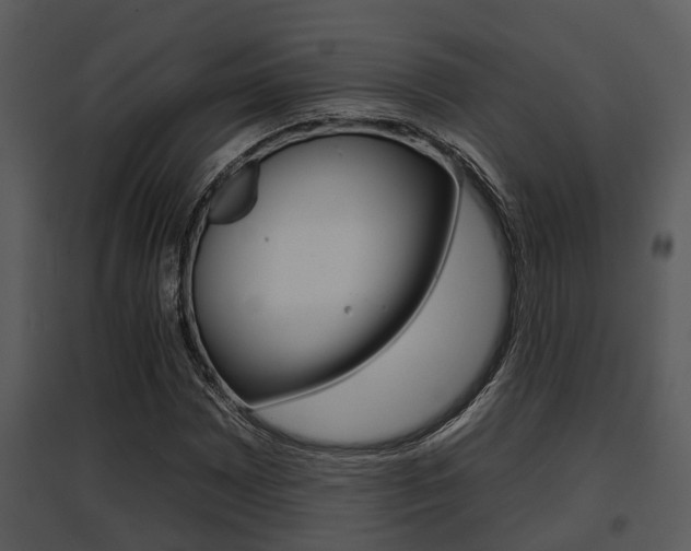 X0000095671065200801081034