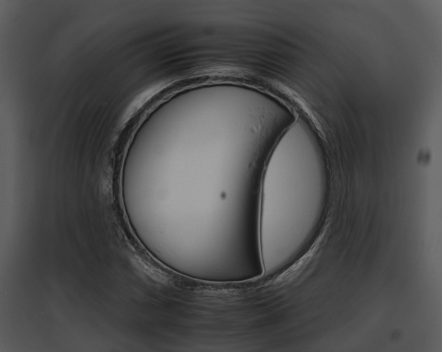 X0000095671066200801081034