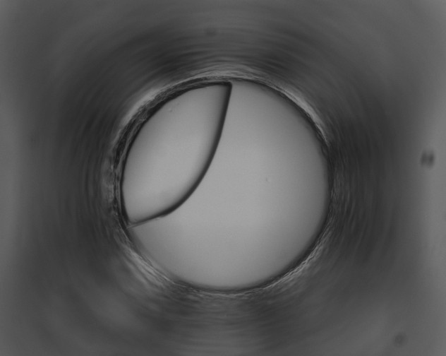 X0000095671067200801081034