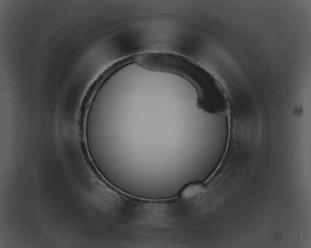 X0000095671068200801081034