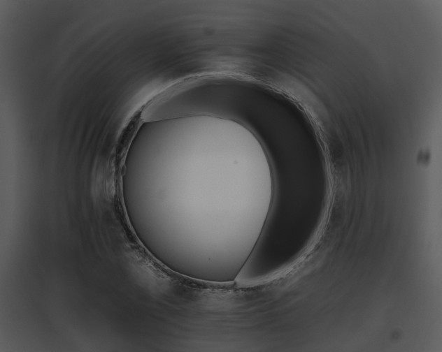 X0000095671069200801081034