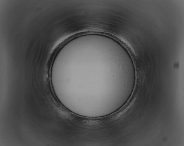 X0000095671070200801081034