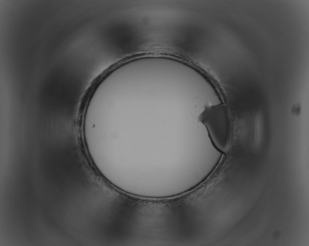 X0000095671071200801081034