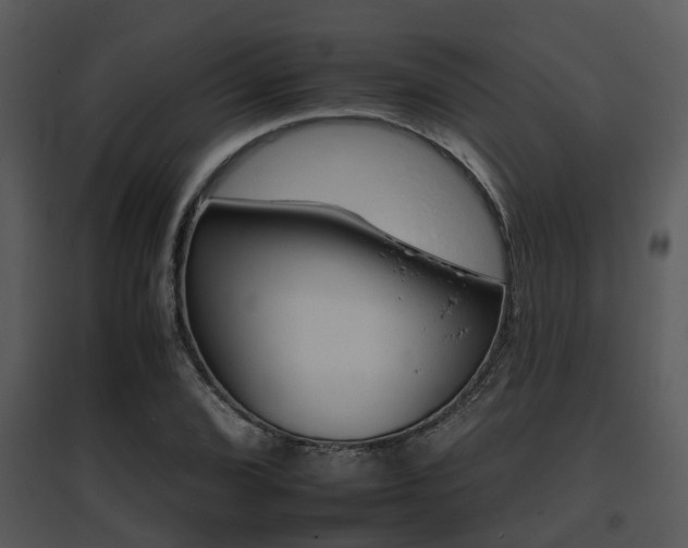 X0000095671072200801081034