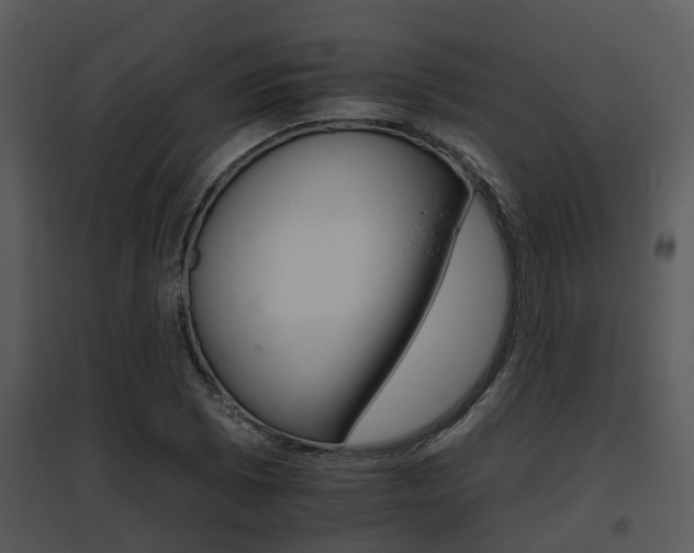 X0000095671073200801081034