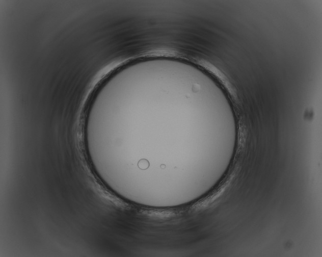 X0000095671074200801081034